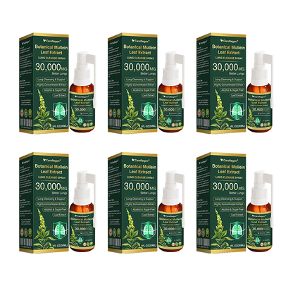 🫁⚡✅Official Store:CareRegen® Botanical Mullein Leaf Extract Lung Cleanse Spray（🫁Directly acts on COPD, asthma, chronic bronchitis (CB), respiratory infections, lung cancer, sinusitis, and other conditions🫁）🌞
