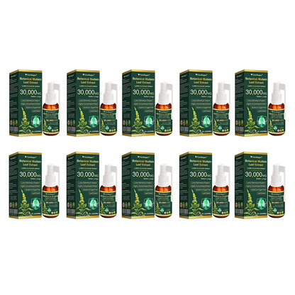 🫁⚡✅Official Store:CareRegen® Botanical Mullein Leaf Extract Lung Cleanse Spray（🫁Directly acts on COPD, asthma, chronic bronchitis (CB), respiratory infections, lung cancer, sinusitis, and other conditions🫁）🌞