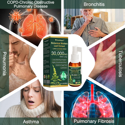 🫁⚡✅Official Store:CareRegen® Botanical Mullein Leaf Extract Lung Cleanse Spray（🫁Directly acts on COPD, asthma, chronic bronchitis (CB), respiratory infections, lung cancer, sinusitis, and other conditions🫁）🌞