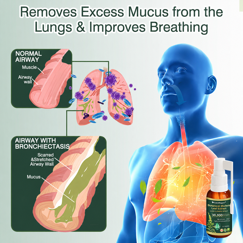 🫁⚡✅Official Store:CareRegen® Botanical Mullein Leaf Extract Lung Cleanse Spray（🫁Directly acts on COPD, asthma, chronic bronchitis (CB), respiratory infections, lung cancer, sinusitis, and other conditions🫁）🌞