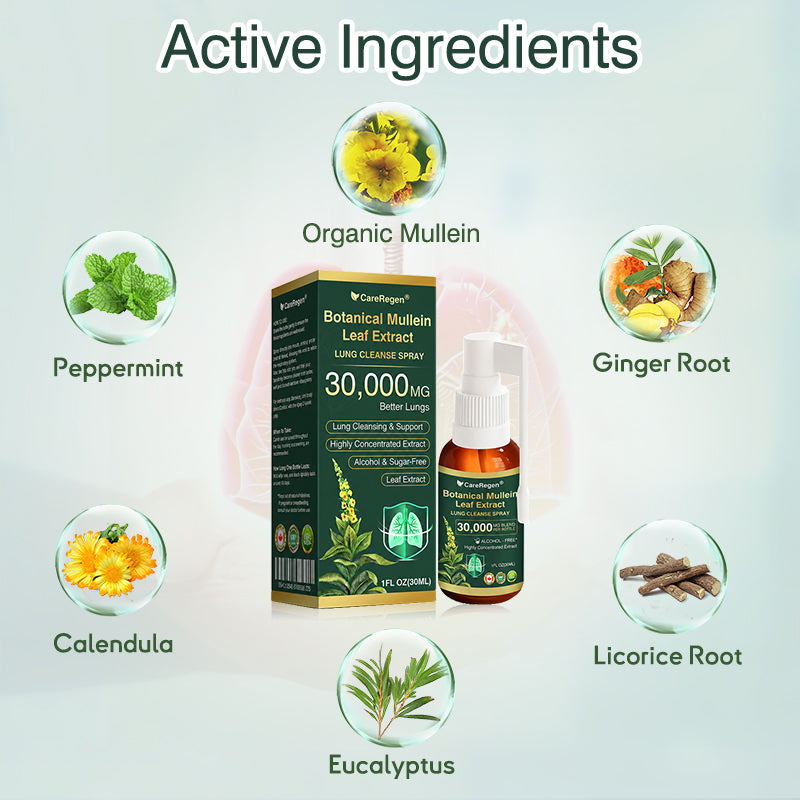 🫁⚡✅Official Store:CareRegen® Botanical Mullein Leaf Extract Lung Cleanse Spray（🫁Directly acts on COPD, asthma, chronic bronchitis (CB), respiratory infections, lung cancer, sinusitis, and other conditions🫁）🌞